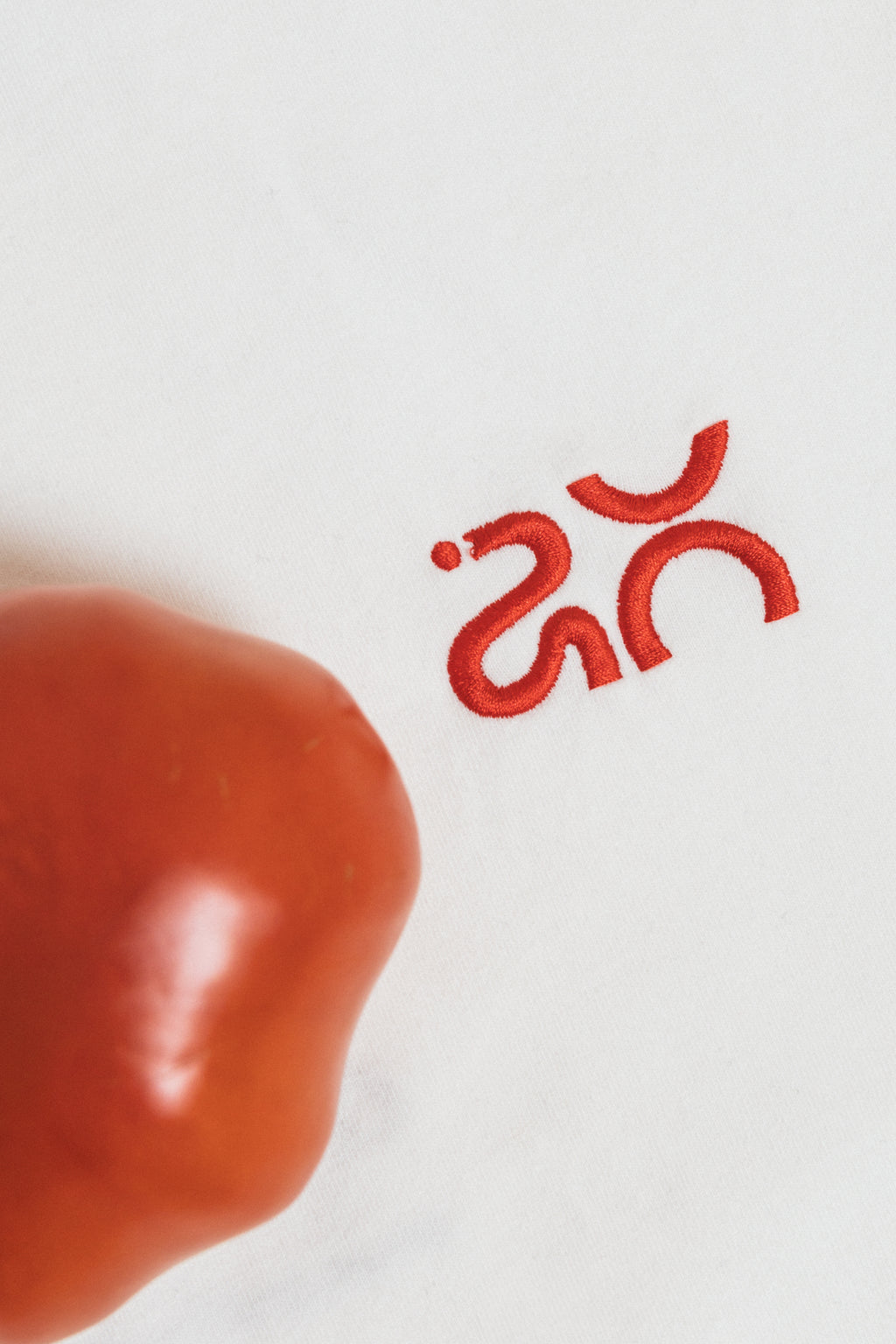 Camiseta AO cotton blanca red/navy logo